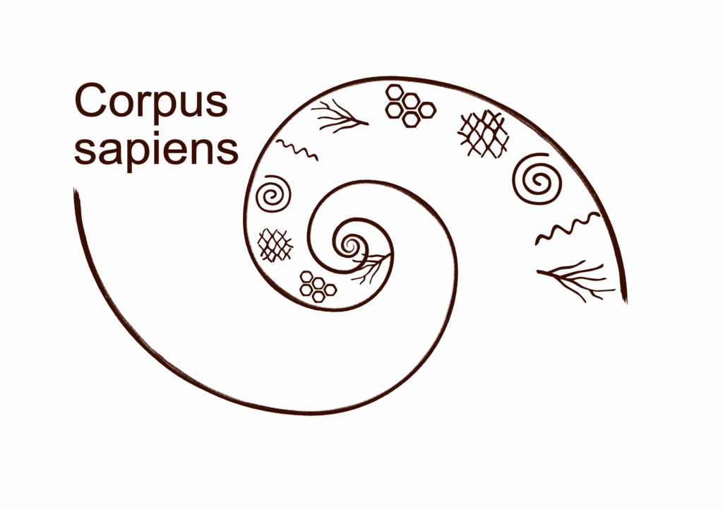 Spirale double motifs perma