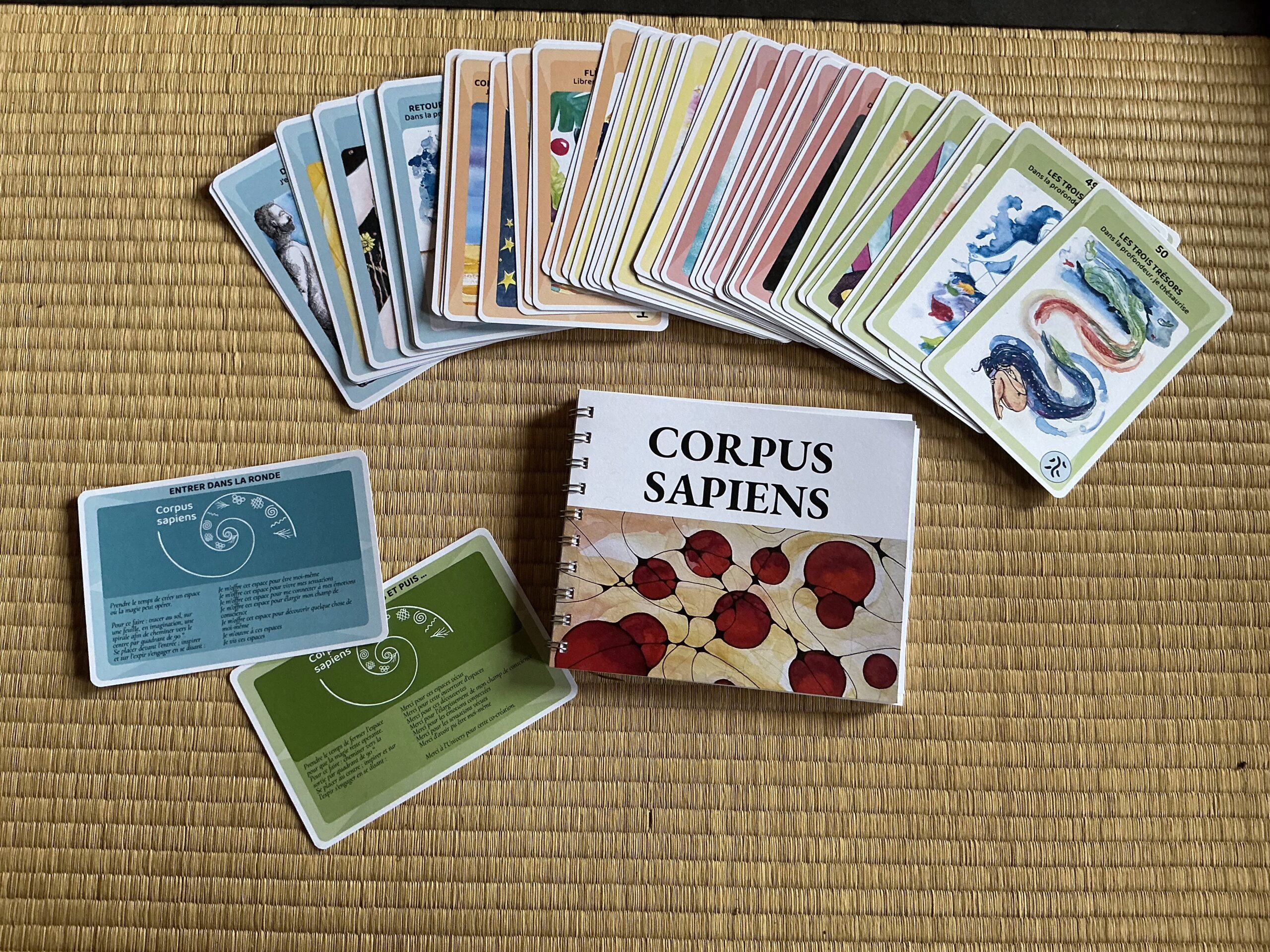 Vue général Corpus sapiens